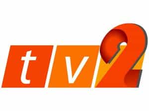RTM TV 2 logo