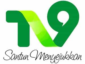 TV 9 Nusantara logo